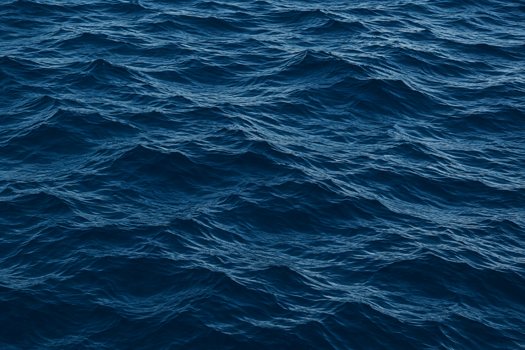 Portland Navy / ocean