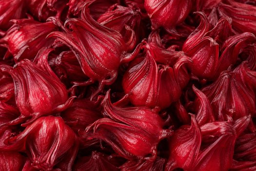 Sorrel Red / calyces