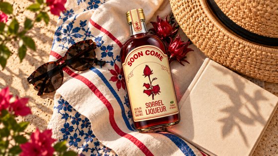 Picnic bottle flat lay