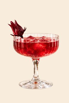 Fluted coupe / sorrel